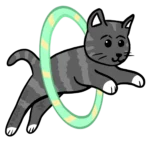 How to train your cat